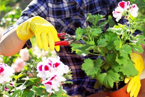 Customer complaint review for a landscaping project