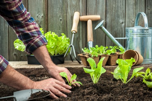 Landscape design ideas for a Hackbridge garden