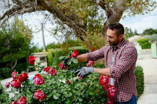 Final complaint resolution in a garden service setting