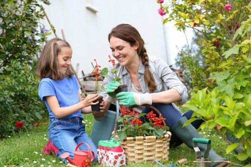 Fertilising and watering a suburban lawn
