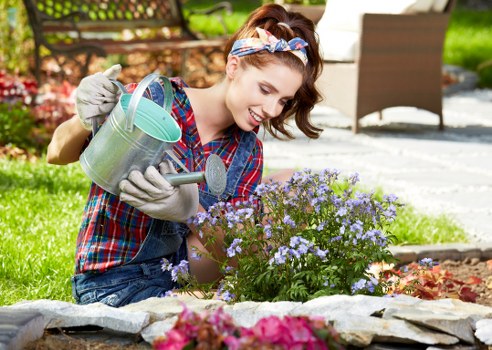 Professional hedge trimming and lawn care in a Hackbridge garden