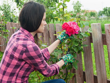 Free quote policy for Hackbridge landscapers and rubbish collection
