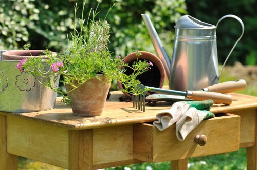 Seasonal lawn maintenance in Hackbridge
