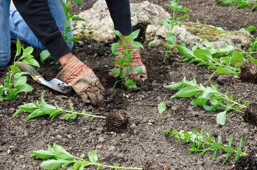 Landscape gardening in Hackbridge with patio and planting