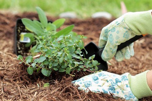 Person using an accessible website on a laptop for Hackbridge landscaping services