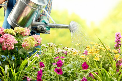 Professional lawn mowing equipment used on a Hackbridge garden
