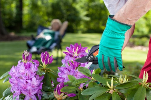 Regular garden upkeep for a Hackbridge property with paths and planting beds