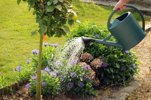 Professional landscaped garden maintained by an insured Hackbridge rubbish and landscaping team