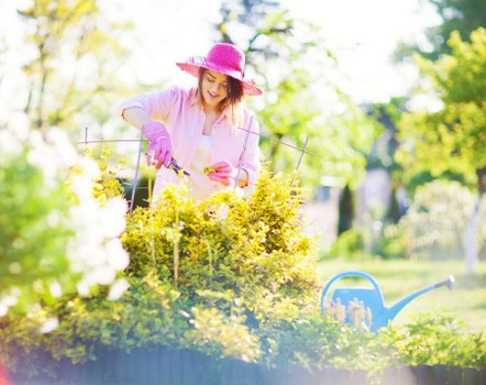 Seasonal garden tidy-up and pruning work in Hackbridge