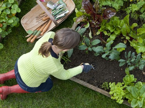 Local patio repair service restoring a garden patio in Hackbridge