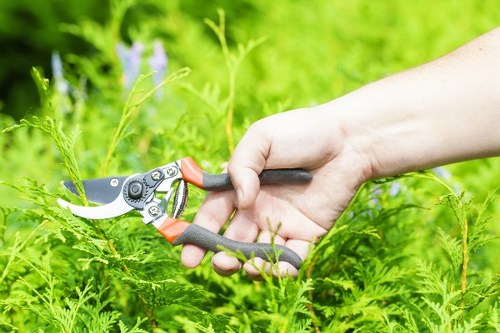 Planning a shed installation in Hackbridge for a residential garden