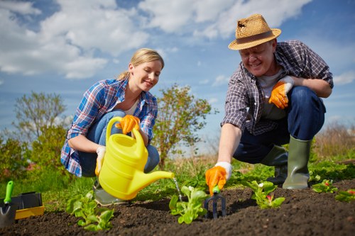 Seasonal lawn care and mowing in a Hackbridge residential yard