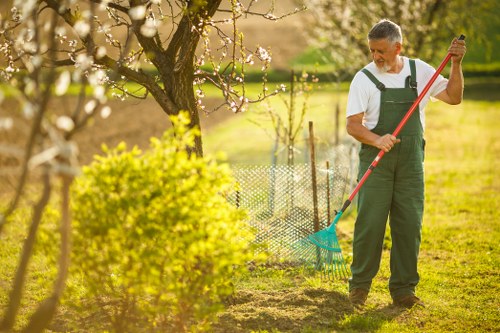 Seasonal hedge trimming in Hackbridge to maintain healthy growth and shape